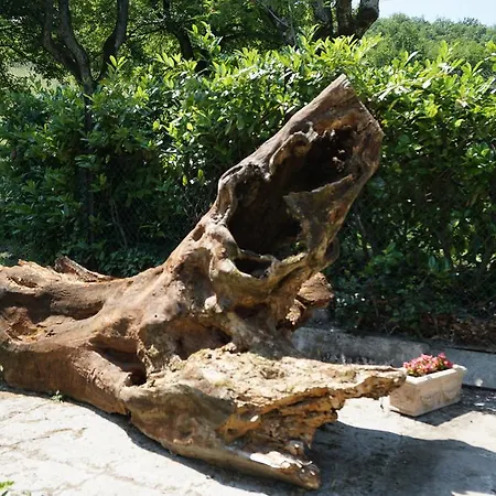 Agriturismo Riserva Del Re Farm stay